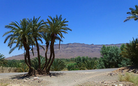 Picture Perfect Scenery Toward Agdz