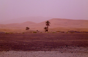 A Setting Sun Tries to Glow Through the Sand Storm