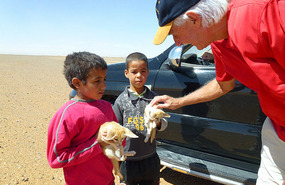 Alan Can't Resist the Fox Cubs