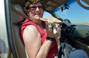 Gibraltarian Tourist Josephine with a Fox Cub