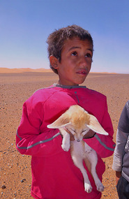 Our Worried Little Friend and His Fox Cub