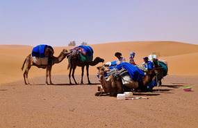 Touareg Nomads Near Merzouga