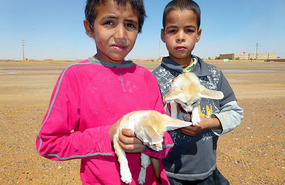 Two Local Boys with Desert Fox Cubs