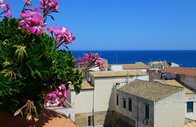Ortygia from our Hotel Top Floor 