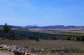 Rural Plains Around Oudhna