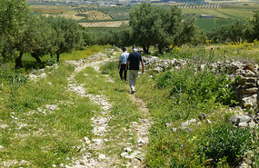 The Attractive Pathway to the Mausoleum