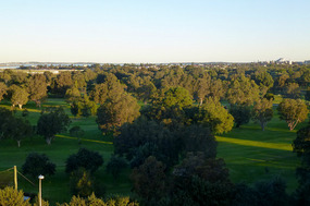From Our Hotel View Across the Kogarah Golf Course