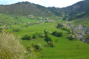 Verdant Alpine Valleys Outside of Mestia