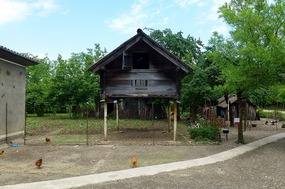 Above Ground Chicken Coup - Farm in Kvakva