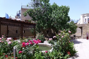 Peaceful Garden and Pool, Shirvanshah Palace