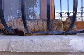 So Tiring being a Tourists' Model....