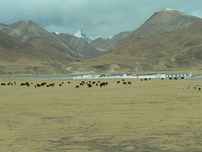 From the High Train - Tibet to Qinghai, China
