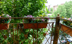 Our Balcony & the Tree Lined Streets of Yerevan