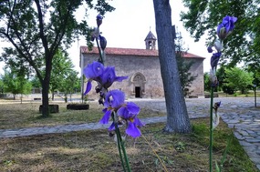 Irises Frame the Lovely Jotari Church