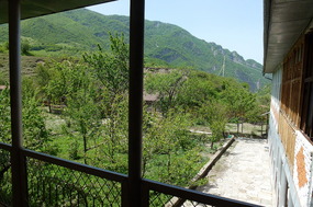 Looking Onto the Aunts' Home Orchard