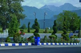 Topiaries Along the Road Through Qabala
