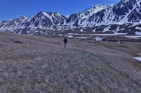 Alan on Our Long March Back