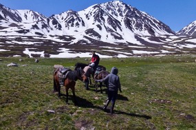Nurka Changes Horses