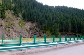 Landslides and Fallen Trees Due to Recent Storms