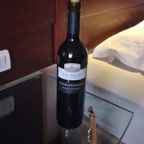 Our Georgian Bagatoni Almost Undrinkable Red