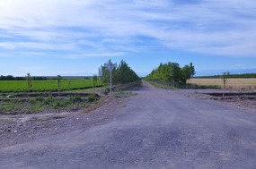 Rural Scene Just Out of Boertala