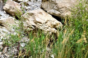 Gold Shimmering Rocks 