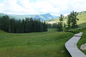 Looking Back Over the Boardwalk