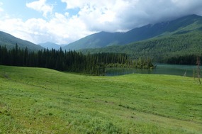Pastures and Forest Fringing Kanas Lake