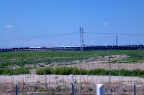 The Northern Xinjiang Railway Line 