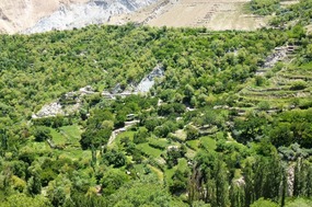 Farming Country in the Nagyr Valley