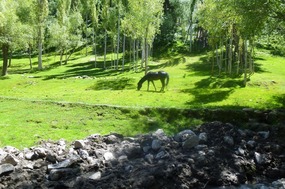 Pretty Countryside in Nagyr Valley