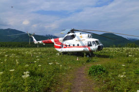 Our Flash Helicopter