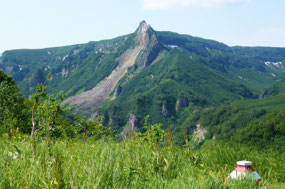 Close Up of Land Slip