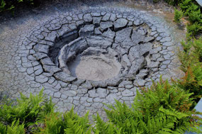Mudpot 