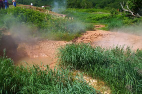 Mudpots