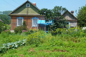 Characteristic Cottage and Rambling Gardens