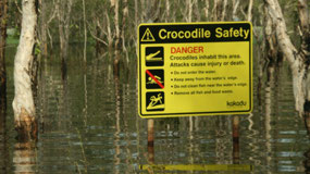 Crocodile Warning for Tourists! 