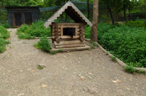 Play House for the Bear Cubs