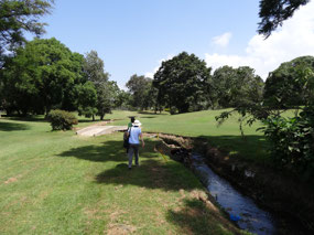 The Arusha Gymkhana and Golf Club