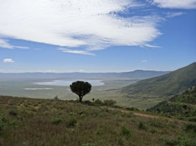 Ngorongoro crater