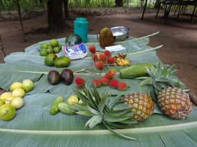 The feast