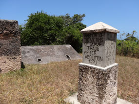 Slave cells after abolition