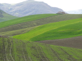 Sicilian countryside