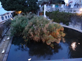 Fountain of Arethusa