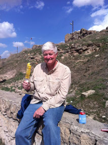 Chips on a stick