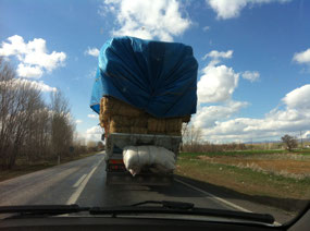 Trucking