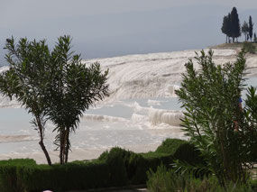 The terraces