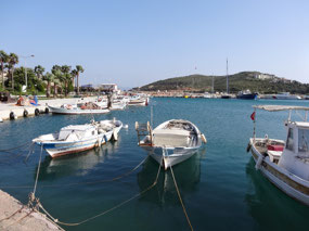 The harbor