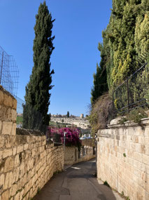 Walking route down the Mount of Olives