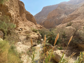 To the Hidden Waterfall